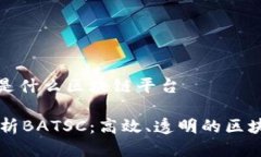 BATSC是什么区块链平台深入解析BATSC：高效、透明