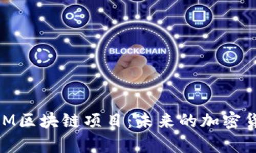 : 深度解析MXM区块链项目：未来的加密货币与生态系统