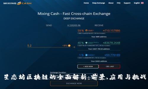 星态坊区块链的全面解析：前景、应用与挑战