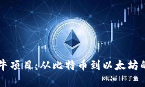 区块链最牛项目：从比特币到以太坊的全景探索