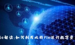 比特Pie解读：如何利用比