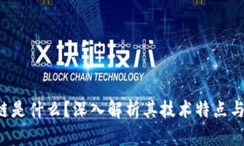 ezy区块链是什么？深入解析其技术特点与应用前景