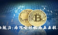 区块链的魅力：为何它被