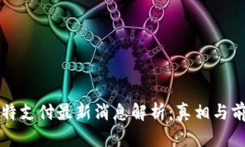 比特支付最新消息解析：真相与前景
