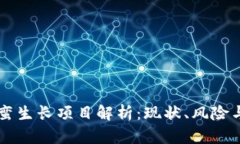 区块链野蛮生长项目解析
