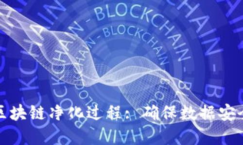 深入了解区块链净化过程: 确保数据安全与透明性