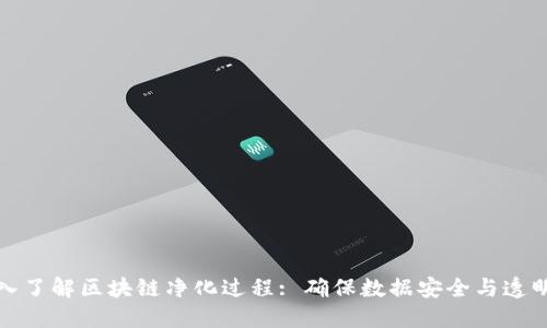 深入了解区块链净化过程: 确保数据安全与透明性