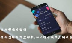 区块链典型项目解析区块