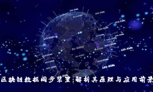 区块链数据同步装置：解析其原理与应用前景