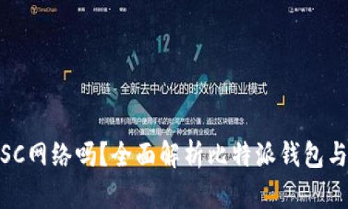 比特派支持BSC网络吗？全面解析比特派钱包与BSC的兼容性