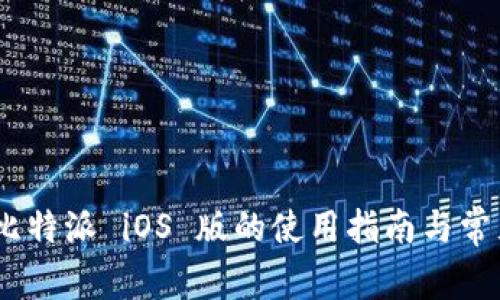 全面解析：比特派 iOS 版的使用指南与常见问题解答