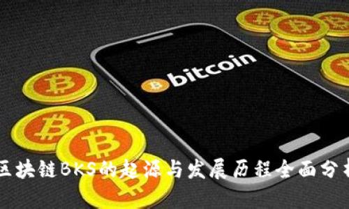 区块链BKS的起源与发展历程全面分析