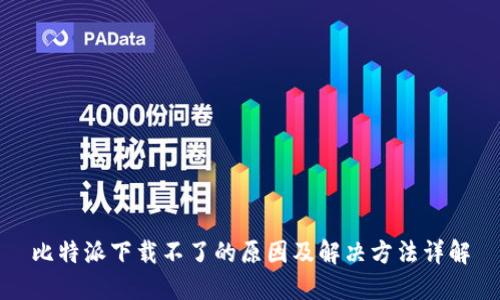 比特派下载不了的原因及解决方法详解