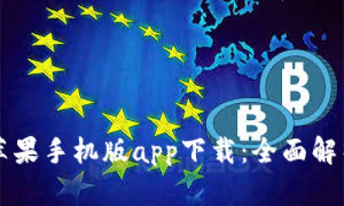 比特派钱包苹果手机版app下载：全面解析与使用指南
