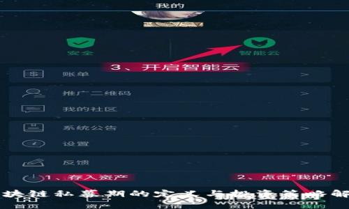 区块链私募期的定义与投资策略解析