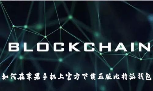 如何在苹果手机上官方下载正版比特派钱包