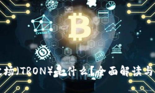 区块链波场（TRON）是什么？全面解读与应用前景