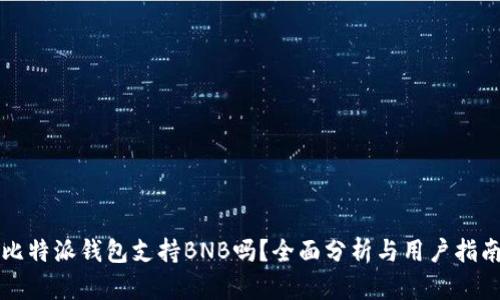 比特派钱包支持BNB吗？全面分析与用户指南