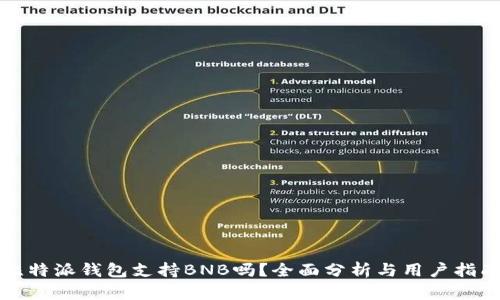 比特派钱包支持BNB吗？全面分析与用户指南