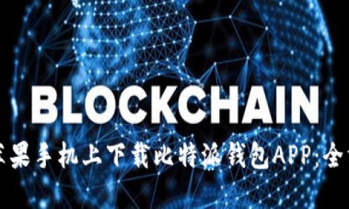 如何在苹果手机上下载比特派钱包APP：全方位指南