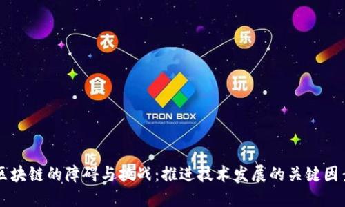 区块链的障碍与挑战：推进技术发展的关键因素