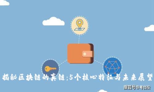揭秘区块链的真链：5个核心特征与未来展望