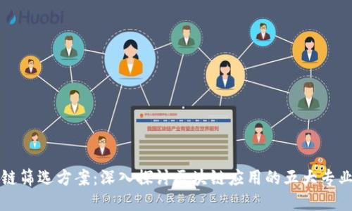 区块链筛选方案：深入探讨区块链应用的五大专业领域