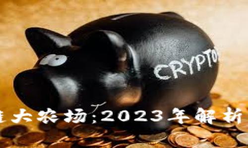 揭秘区块链大农场：2023年解析及未来展望