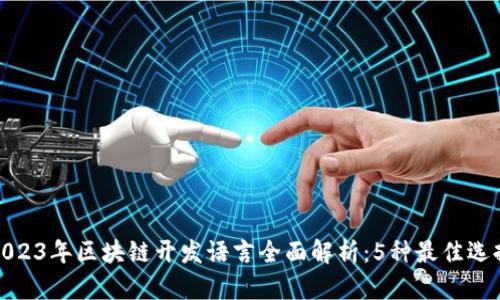 2023年区块链开发语言全面解析：5种最佳选择