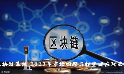 区块链暴跌：2023年市场回顾与投资者应对策略