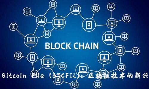深入了解Bitcoin File (BTCFIL): 区块链技术的新兴应用解析