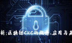 深入解析：区块链CKC的概