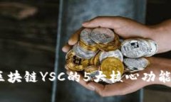深入解读：区块链YSC的5大