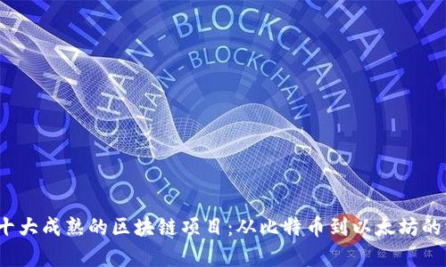 2023年十大成熟的区块链项目：从比特币到以太坊的深度分析