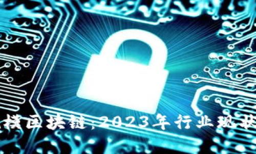 揭秘百亿规模区块链：2023年行业现状与未来展望