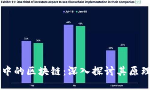 比特币中的区块链：深入探讨其原理与应用