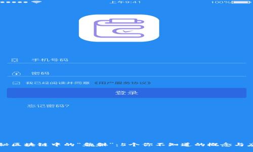 揭秘区块链中的“貔貅”：5个你不知道的概念与应用