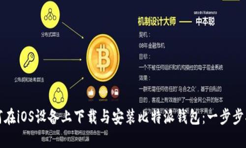 如何在iOS设备上下载与安装比特派钱包：一步步指南