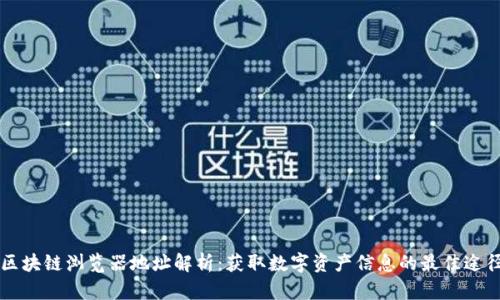 区块链浏览器地址解析：获取数字资产信息的最佳途径