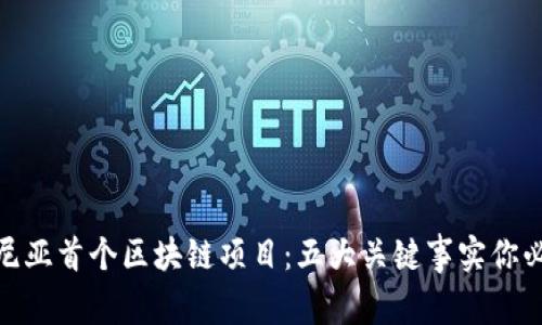 揭秘肯尼亚首个区块链项目：五大关键事实你必须知道