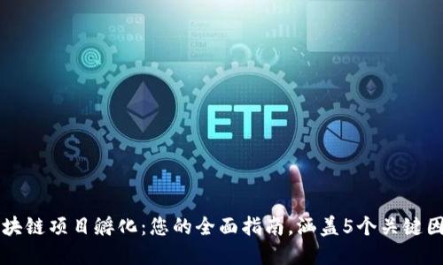 区块链项目孵化：您的全面指南，涵盖5个关键因素