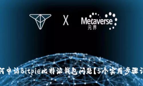 如何申诉Bitpie比特派钱包问题？5个实用步骤详解
