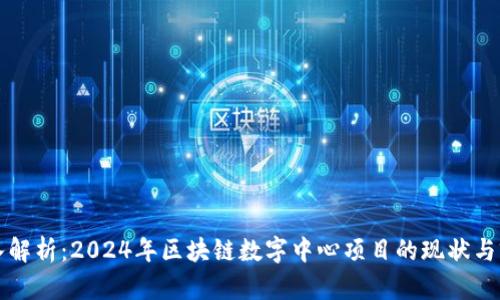 深入解析：2024年区块链数字中心项目的现状与前景