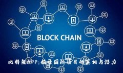 比特熊APP：揭开国际项目