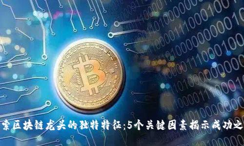 探索区块链龙头的独特特征：5个关键因素揭示成功之道