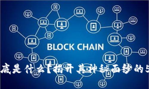 区块链到底是什么？揭开其神秘面纱的5个关键点