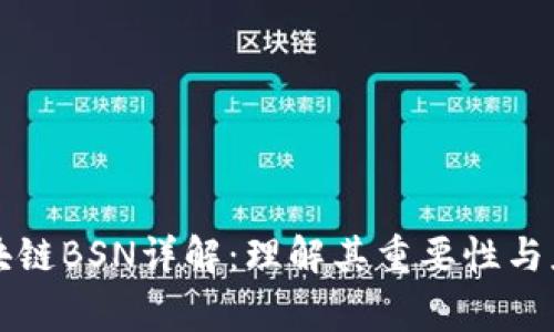 国家区块链BSN详解：理解其重要性与应用场景