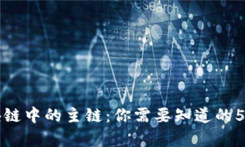 解析区块链中的主链：你需要知道的5个关键点