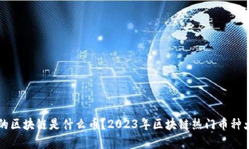 真正的区块链是什么币？2023年区块链热门币种大解析