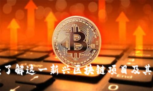 YTA：了解这一新兴区块链项目及其潜力